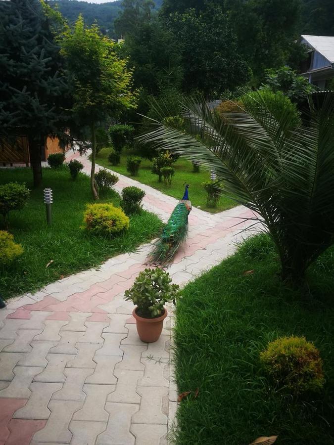 Vacation Home Nukri Gonio Exterior photo